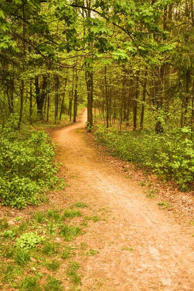 Parc sentier nature dans la prairie — Photo