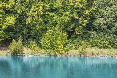 açık havada yaz park arka planda manzara