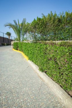 Parkta doğada denize yol adımları