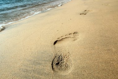 Deniz tarafından doğada sahilde güzel ayak izleri