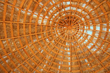 Deniz arka planında güzel bir şemsiye kapağı