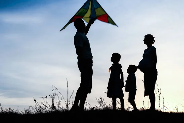 Felice famiglia che gioca sulla silhouette estiva della natura — Foto Stock
