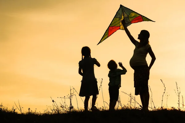 Gelukkig ouder met kinderen spelen op de natuur zomer silhouet — Stockfoto