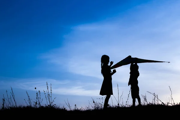 Bambini felici che giocano sulla silhouette estiva della natura — Foto Stock