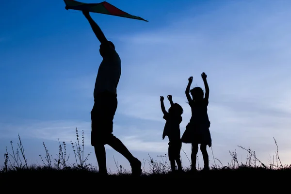 Genitore felice con bambini che giocano sulla silhouette estiva della natura — Foto Stock