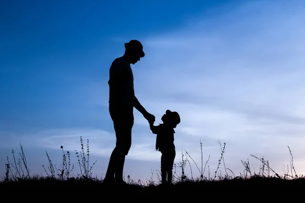 Genitore felice con bambini che giocano sulla silhouette estiva della natura — Foto Stock