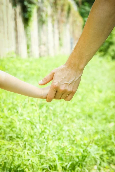 Hermosas manos de un niño y un padre en un parque en la naturaleza —  Fotos de Stock