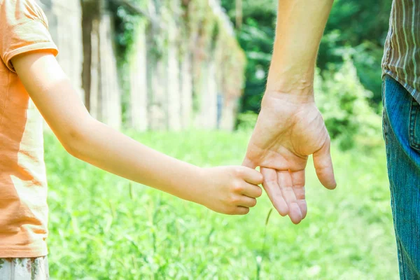 Hermosas manos de un niño y un padre en un parque en la naturaleza —  Fotos de Stock