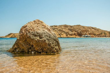 Doğanın arka planında güzel deniz kıyısı tatili