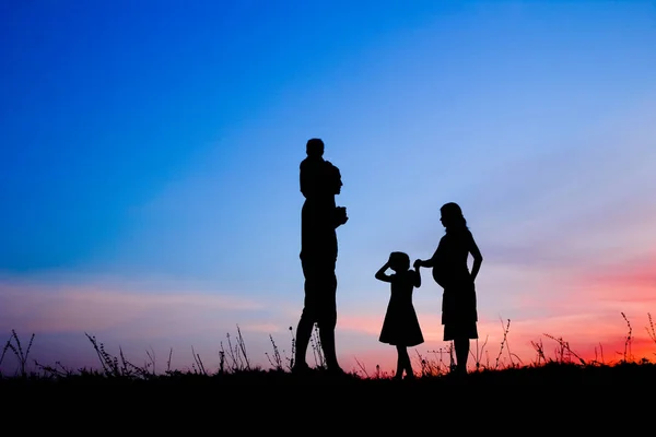 Família feliz jogando na natureza silhueta de verão — Fotografia de Stock