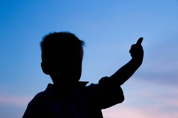 Gelukkige kinderen spelen op natuur zomer silhouet — Stockfoto