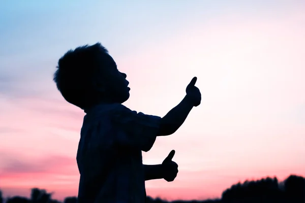 Niños felices jugando en la silueta de verano de la naturaleza — Foto de Stock