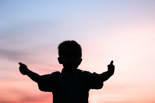 Gelukkige kinderen spelen op natuur zomer silhouet — Stockfoto