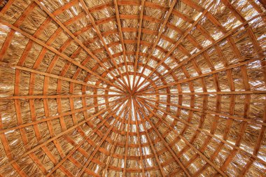 Şık güzel deniz şemsiyesi arka plan