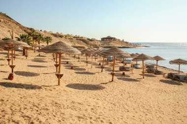 Doğanın arka planında güzel deniz kıyısı tatili