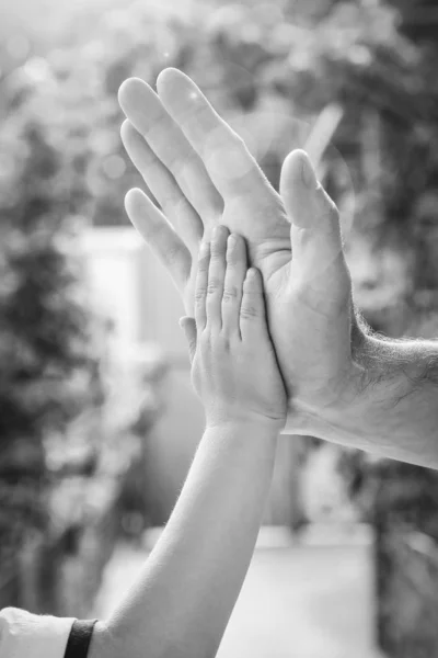 Belas mãos de uma criança e um pai em um parque na natureza — Fotografia de Stock