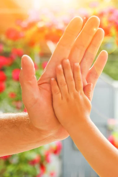 Красивые руки ребенка и родителя в парке на природе — стоковое фото