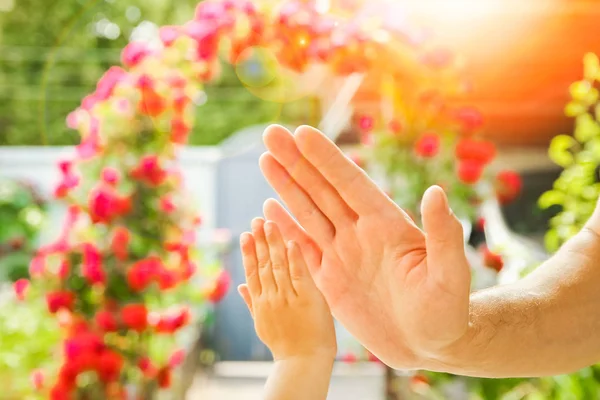 Belles mains d'un enfant et d'un parent dans un parc dans la nature — Photo