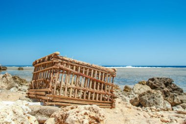 Doğanın arka planında güzel deniz kıyısı tatili