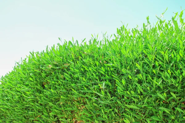 Mooie kust vakantie op natuur landschap achtergrond — Stockfoto