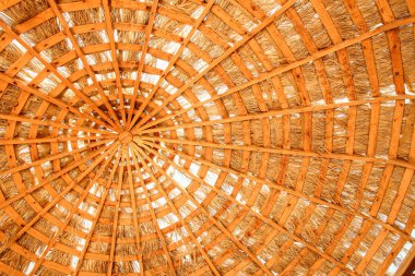 Şık güzel deniz şemsiyesi arka plan