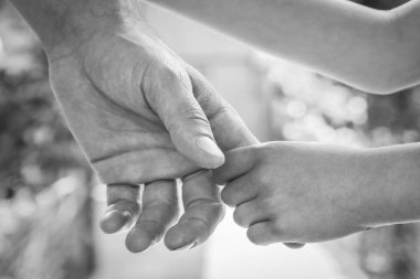 doğada bir parkta bir çocuk ve bir ebeveynin güzel eller