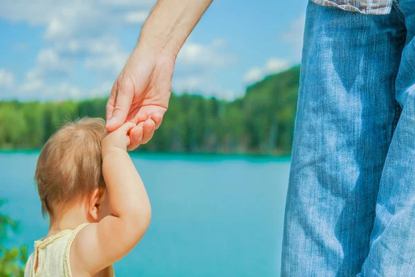 Manos de un padre y un niño en la naturaleza en un parque junto al mar — Foto de Stock