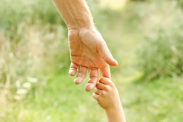 Ruce rodiče a dítěte v přírodě — Stock fotografie