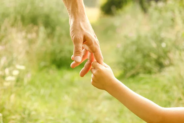 Hands of parent and child in nature — Stock Photo, Image