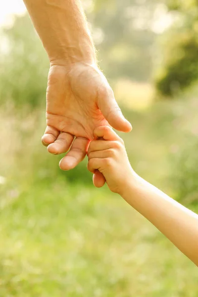 Hände von Eltern und Kind in der Natur — Stockfoto