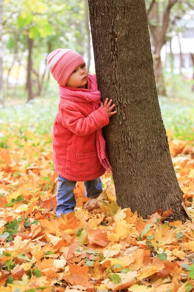 Όμορφο Μικρό Κορίτσι Που Παίζει Φθινόπωρο Για Φύση Στο Πάρκο — Φωτογραφία Αρχείου