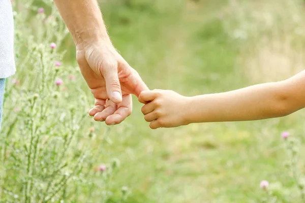 Handen van ouder en kind in de natuur — Stockfoto