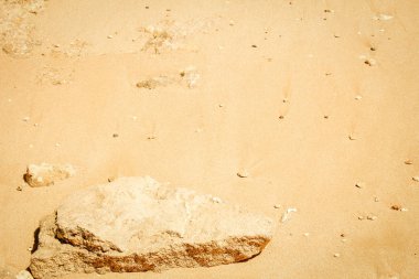 Deniz kenarındaki güzel kumlar doğa arka planında