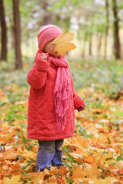 Vacker liten flicka som spelar i höst på naturen i — Stockfoto