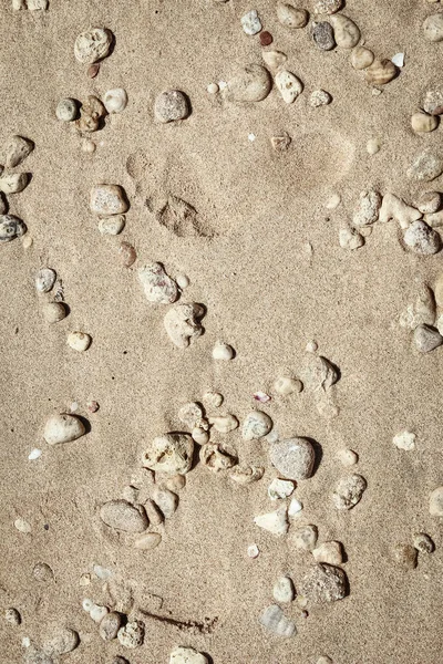 Krásný písek v blízkosti moře na přírodním pozadí — Stock fotografie