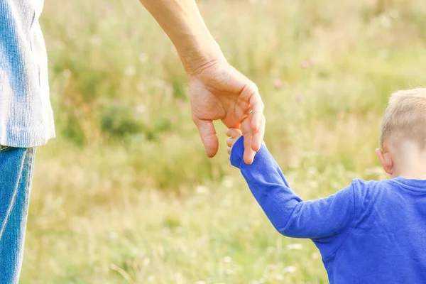 Hands of parent and child in nature — Stock Photo, Image