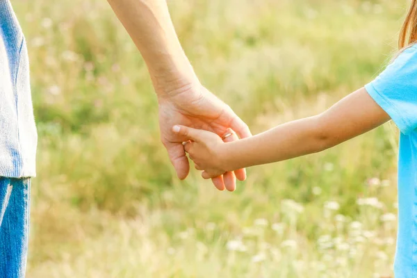 Hands of parent and child in nature — Stock Photo, Image