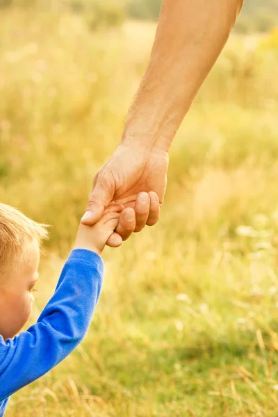 Hands of parent and child in nature — Stock Photo, Image