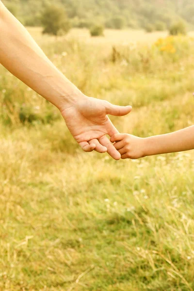 Χέρια γονέα και παιδιού στη φύση — Φωτογραφία Αρχείου