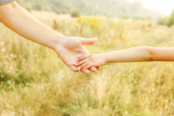Hands of parent and child in nature — Stock Photo, Image