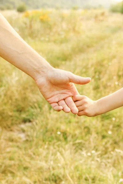 Mãos de pai e filho na natureza — Fotografia de Stock