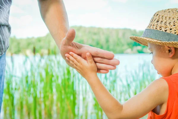 Manos de un padre y un niño en la naturaleza en un parque junto al mar —  Fotos de Stock