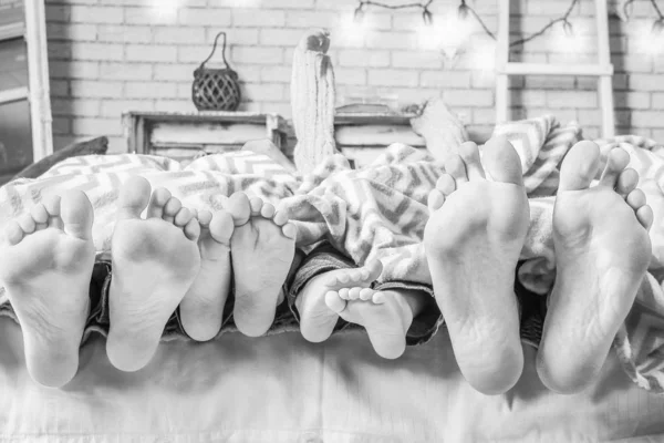 Noel de evde battaniye ayakları — Stok fotoğraf