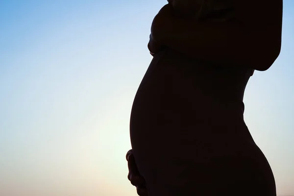 Mooi silhouet van een zwanger meisje op de achtergrond van NAT — Stockfoto