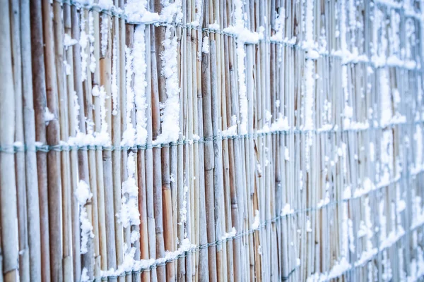 Clôture audacieuse en hiver sur la nature dans le fond du parc — Photo
