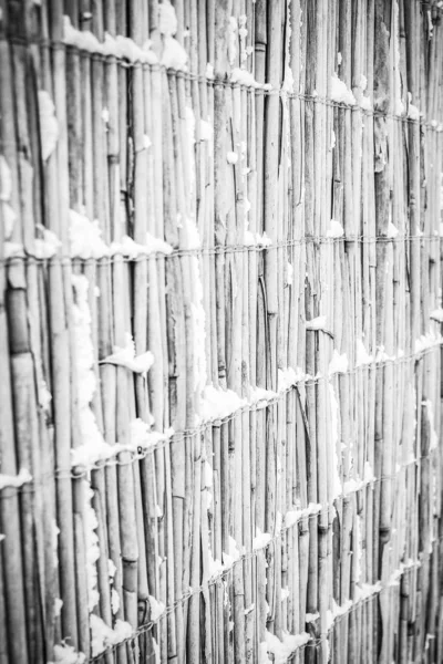 Смелый забор зимой на природе на фоне парка — стоковое фото