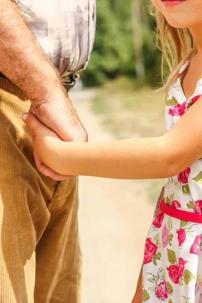 Parktaki bir ebeveynin ve çocuğun elleri — Stok fotoğraf