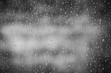 park arka planda cam güzel damla