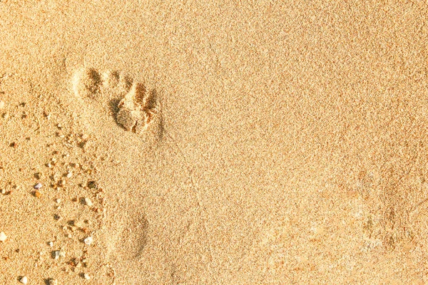 Όμορφες πατημασιές στην άμμο θάλασσα φόντο της φύσης — Φωτογραφία Αρχείου