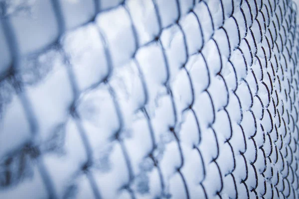 park arka planda doğada kışın örgü